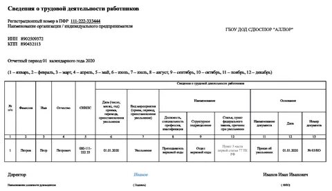 5 новых отчетов