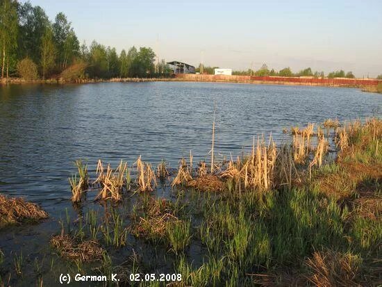Москва царицынский рыбацкий пруд. Базовский пруд очаково. Базовский пруд очаково. Большой очаковский пруд. Карачевский пруд кимовск.