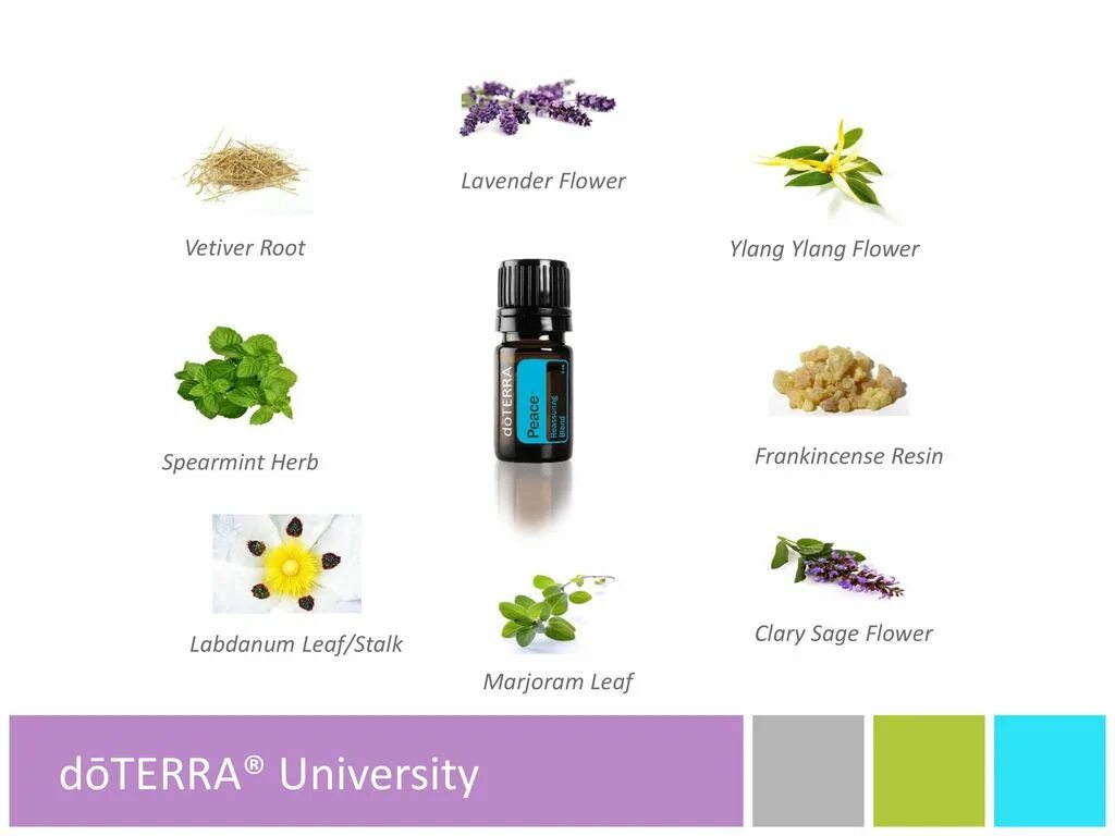 набор эмоциональная ароматерапия дотерра. онгард дотерра состав. дотерра cheer роллер. состав эфирных масел дотерра. состав эфирных масел дотерра.