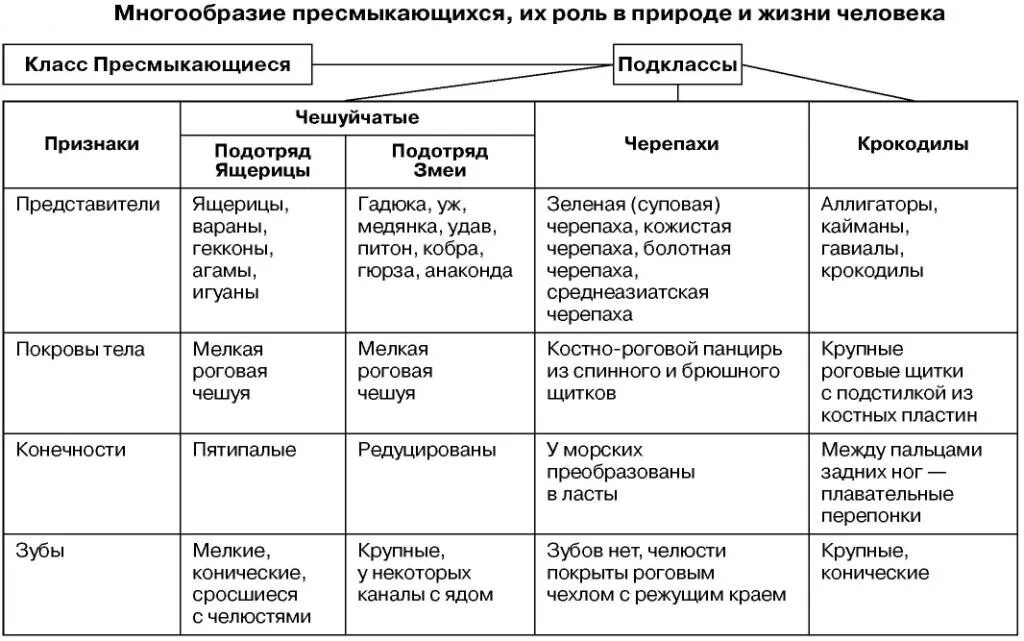 Самостоятельная работа по пресмыкающимся. Многообразие пресмыкающихся характеристика. Таблица по биологии многообразие пресмыкающихся. Таблица по многообразию пресмыкающихся. Общая характеристика пресмыкающихся таблица.