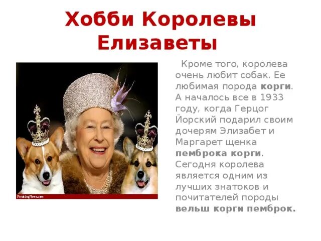 Именем какой королевы назван защитный ветеринарный. Увлечения королевы елизаветы корги. любимая собака английской королевы. любимая порода королевы елизаветы. корги английская королева.