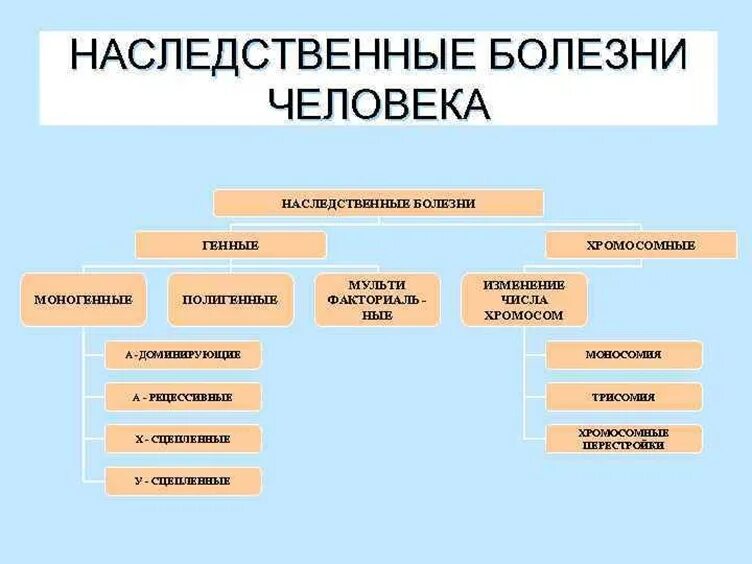 Наследственные заболевания описание. Генетические заболевания человека таблица с типами. 1. Классификация наследственных болезней человека. Классификация наследственных заболеваний геномные. Типы наследования заболеваний у человека.