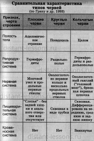 Сравнение строения червей. Сравнительная характеристика классов типа плоские черви. Таблица кольчатые черви 7 класс биология. Сравнительная характеристика типов червей. Сравнительная характеристика всех типов червей.