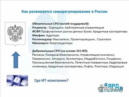Органы саморегулируемой организации оценщиков