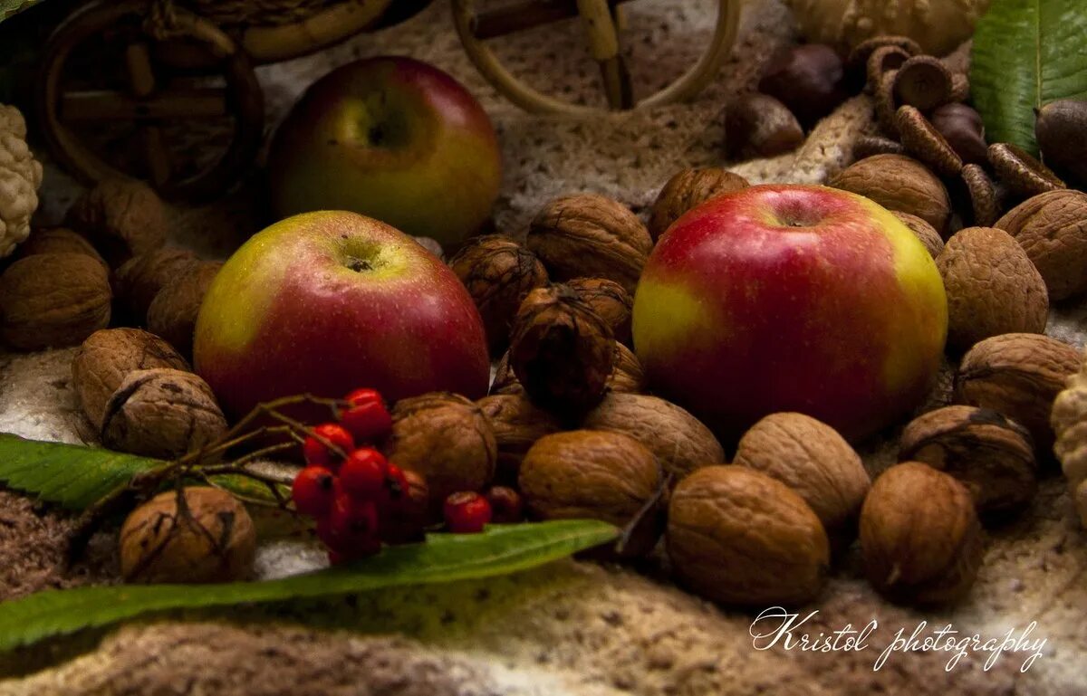 Желуди и каштаны. Полевая вишня физалис. Рябина красная «сорбус». Осенние плоды на деревьях. Каштан дерево плоды.
