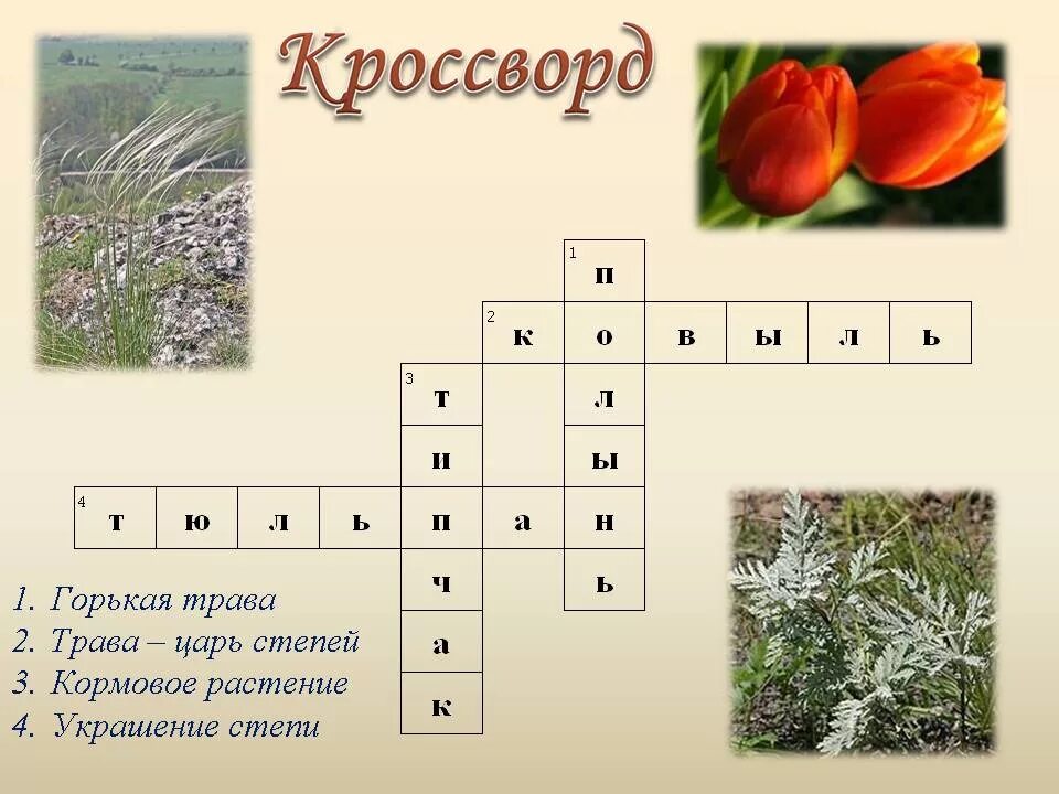 Кроссворд на тему растительные сообщества. Кроссворд на тему степь. Кроссворд растения. Кроссворд на тему растения. Кроссворд на тему зона степей.