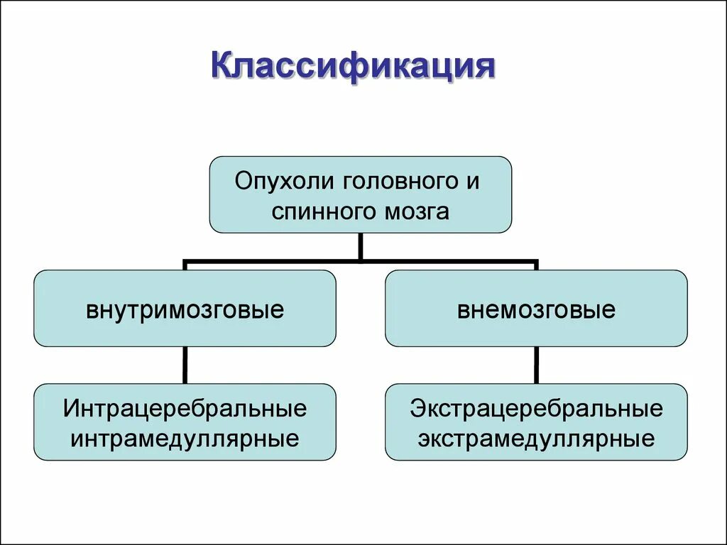 Классификация новообразований головного и спинного мозга. Опухоли головного мозга классификация. Отек головного мозга классификация. Классификация опухолей головного мозга неврология. Опухоли мозга неврология