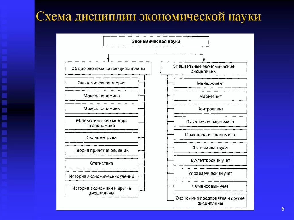 Дисциплина экономическое право. Экономические науки схема. Экономические дисциплины. Схема дисциплины экономика. Значение экономических дисциплин.