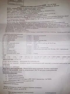 Гистология матки что показывает