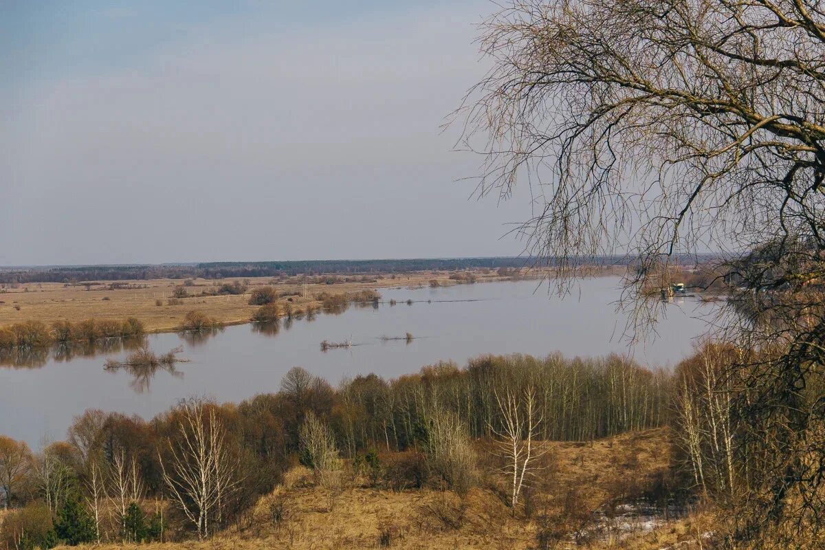 Уровень реки мокша
