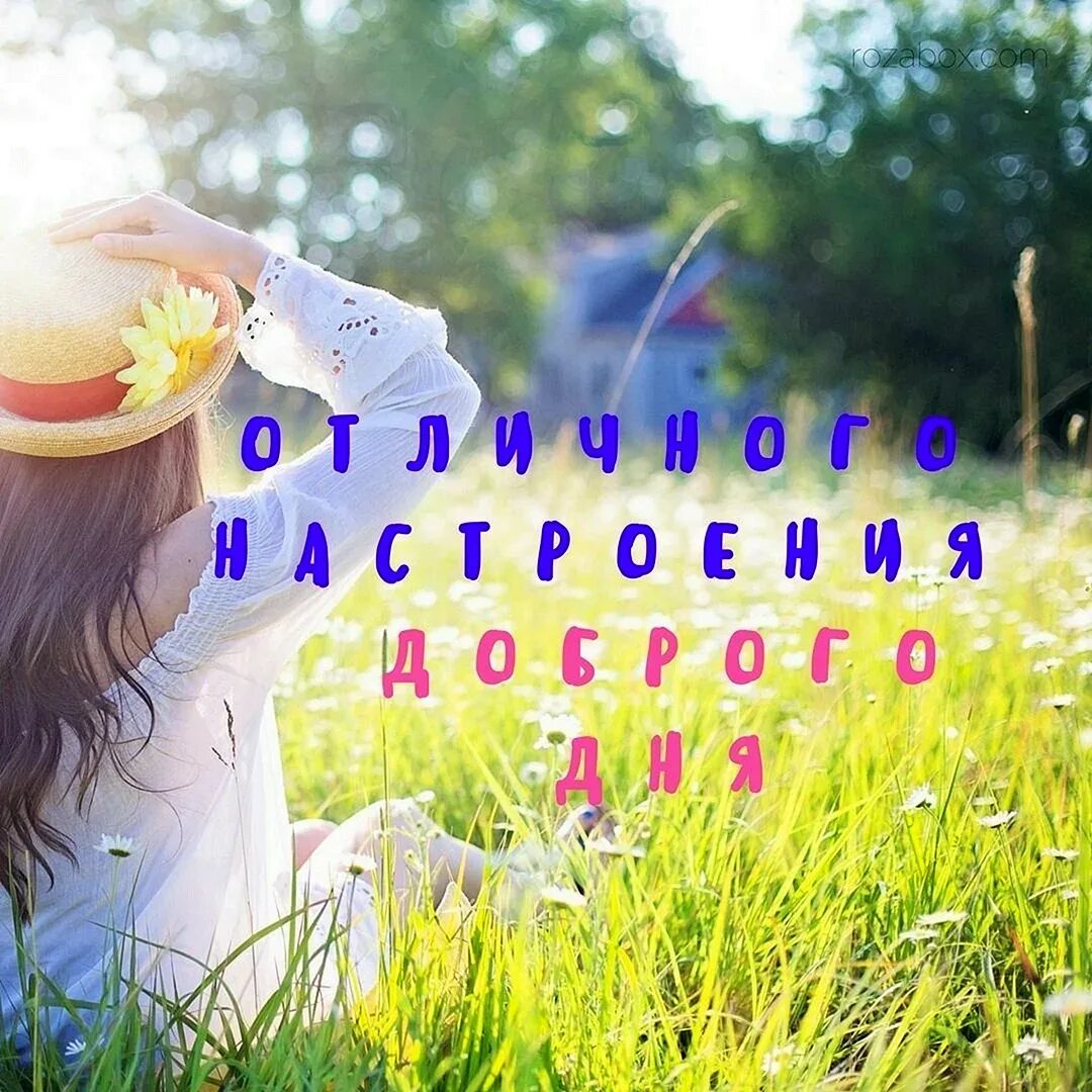 Программы позитива