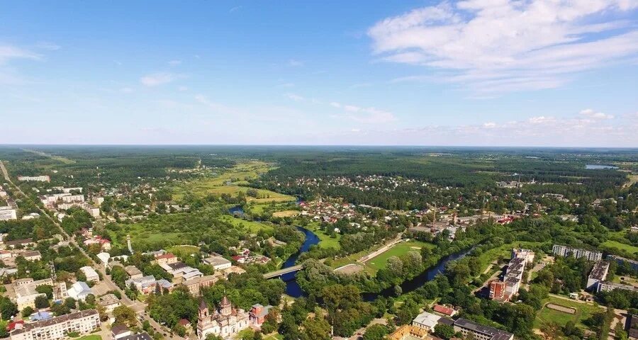 Выборы город луга. Украшенные места в городе луге. Выборы город луга. Выборы город луга. Выборы город луга.
