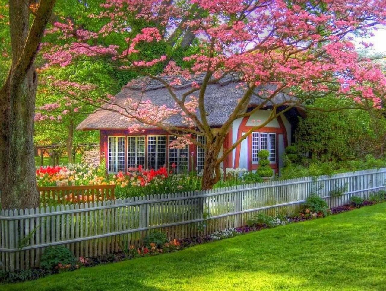 Перед вишневым садом. Домик с цветущим садом. Дом в саду. Красивый сад. Красивый домик с садом.