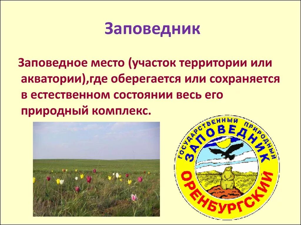 Презентация урока 3 класс охрана животных. Охрана животных 3 класс. охрана животных 3 класс презентация. урок на тему охрана животных 3 класс. охрана животных 3 класс окружающий мир.