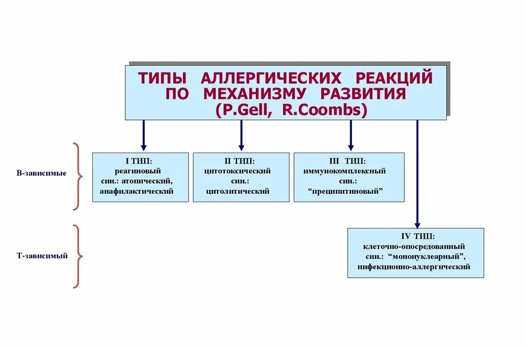 Тип реакции аллергии. Аллергические реакции по механизму развития. механизмы и типы аллергических реакций. виды аллергических реакций по механизму. классификация аллергических реакций по механизму развития.