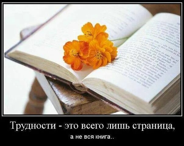 Лишь страниц