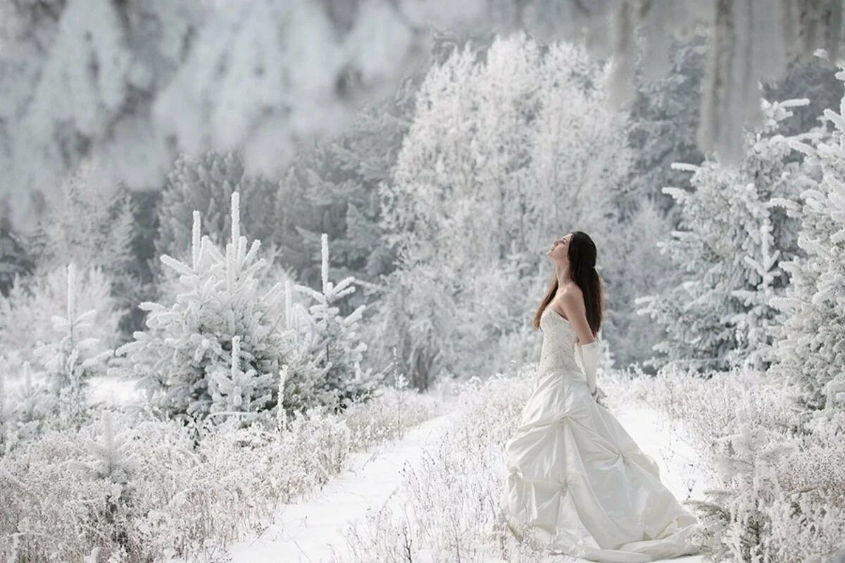 Зимняя фотосессия в платье. Девушка зима. Девушка в Снежном лесу. Девушка в белом зимой.