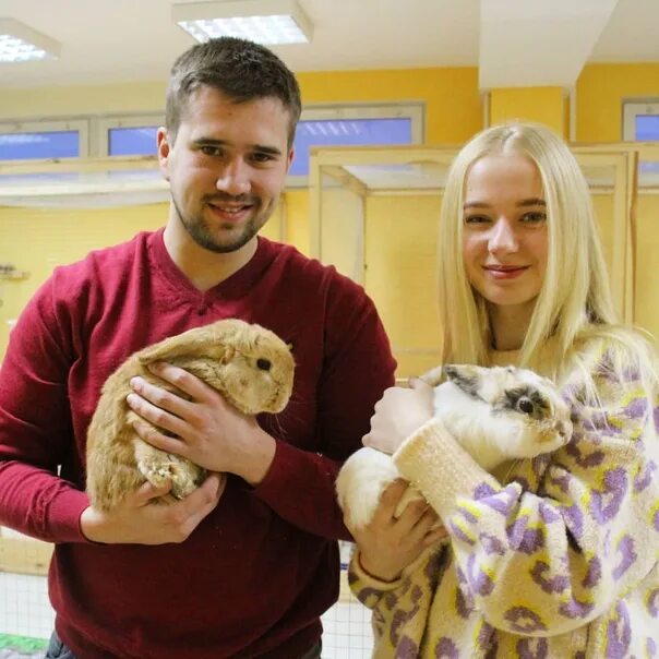 Гомельский зоопарк. Зоопарк в Гомеле. Зоопарк в Гомеле проспект октября. Контактный зоопарк в Гомеле адрес.