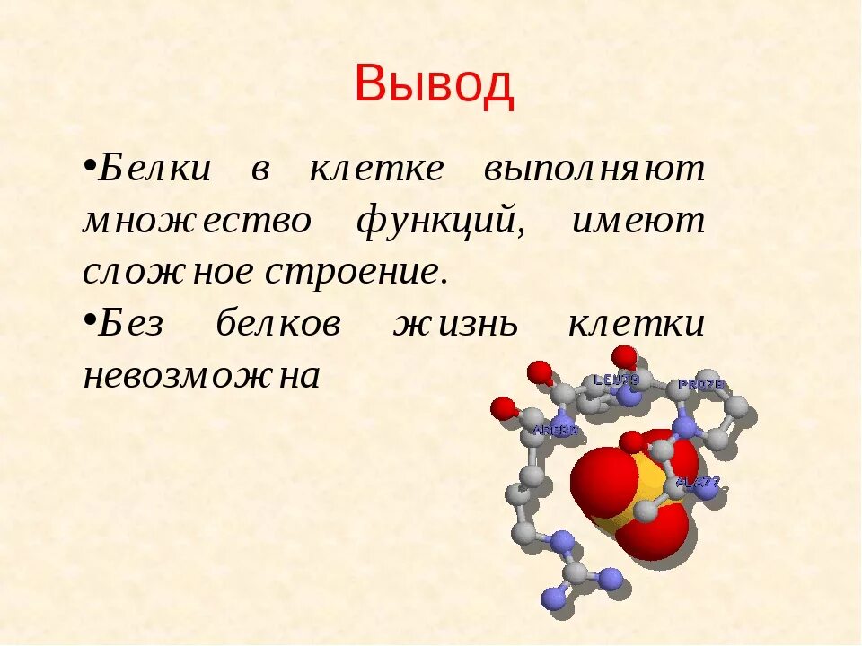 Почему белки называют. Функции белков вывод. Белки вывод по химии.