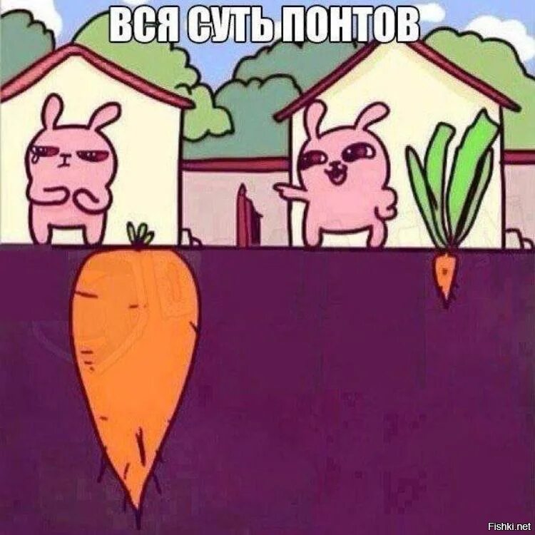 Без понтов 2025. Вся суть понтов. вся суть понтов мем. понты прикол. вся суть понтов картинка.