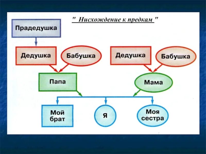 Схема родословная человека по окружающему миру 2 класс. Генеалогическое дерево для презентации. Родословная семьи окружающий мир. Проект родословная.