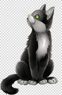 Нарисованный кот на белом фоне