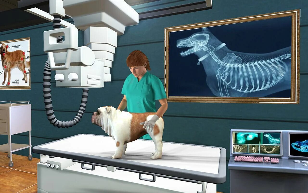 Игра Pet vet. Игра Pet vet 3d animal Hospital. Pet Doctor Hospital игра. Игра kinita pet