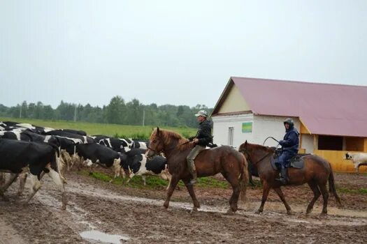 Старый шагирт пермский край. Урады пермский край. Урады пермский край. Урады пермский край. Урады пермский край.