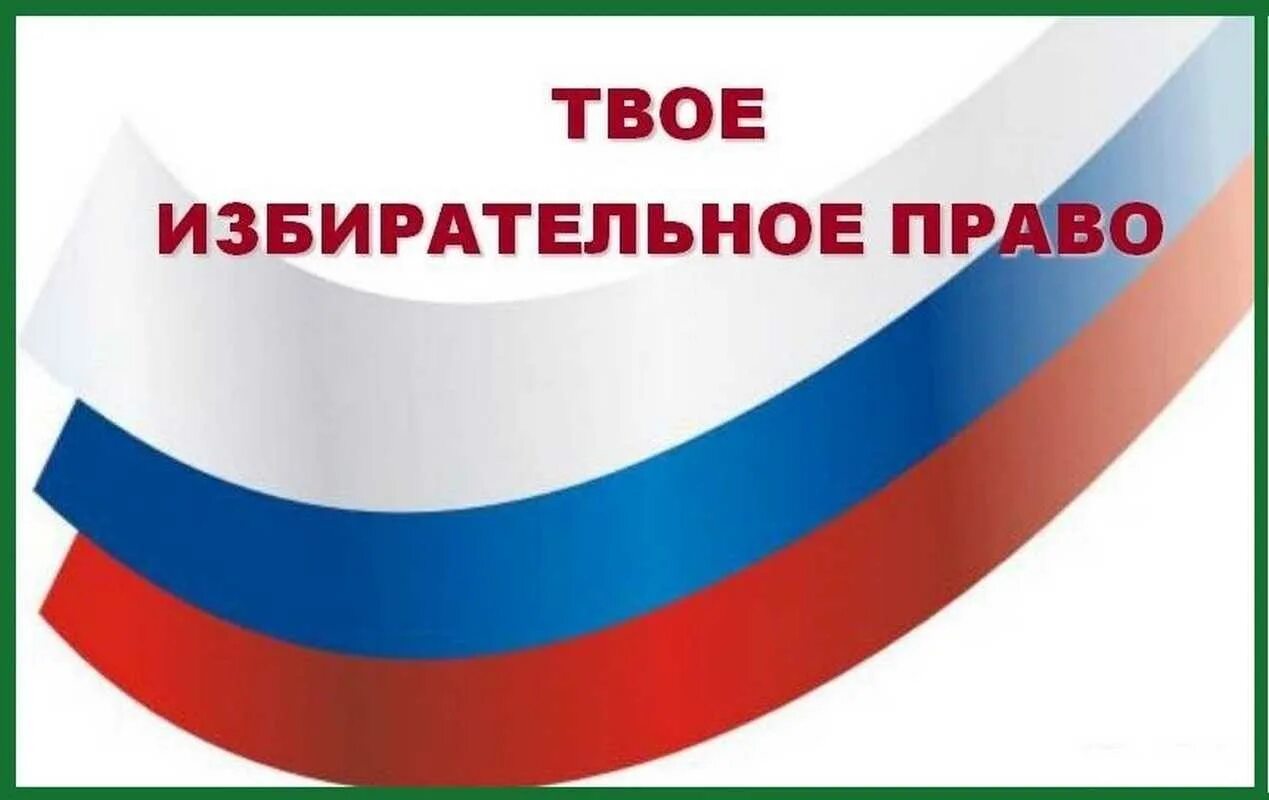 Избирательное право. Эмблемы российских выборов. Избирательное право картинки.