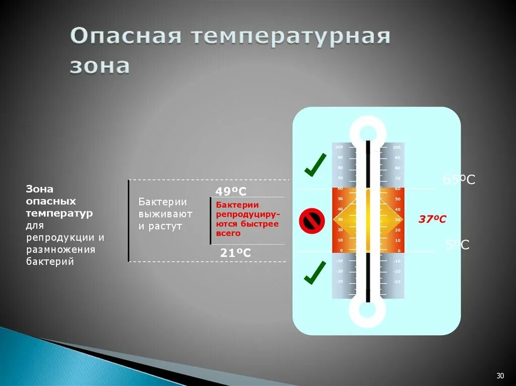 Опасная температура взрослый. Температурные зоны. Тепловые зоны. Зона опасной температуры. Температурный контроль опасная температурная зона.