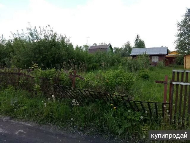 Ликино-дулево московская область. Фазенда-88 деревня коротково. Снт фарфорист 3 ликино-дулево. Гора 89 ликино дулево снт. Гора 89 ликино дулево снт.