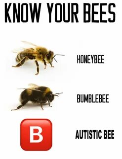 Your bee