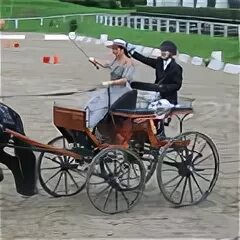 Легкий экипаж 9