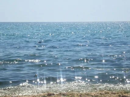 Вода в черном море летом