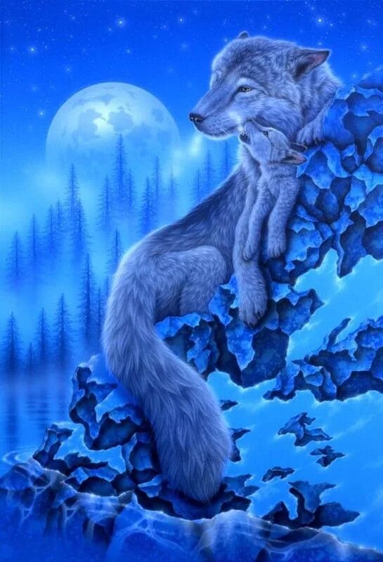 Волк арт. Темный волк. Синяя волчица. Синяя волчица. Красивый волк.