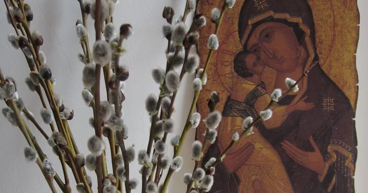 Блонская вербное воскресенье. Верба на вербное воскресенье. с вербным воскресеньем.