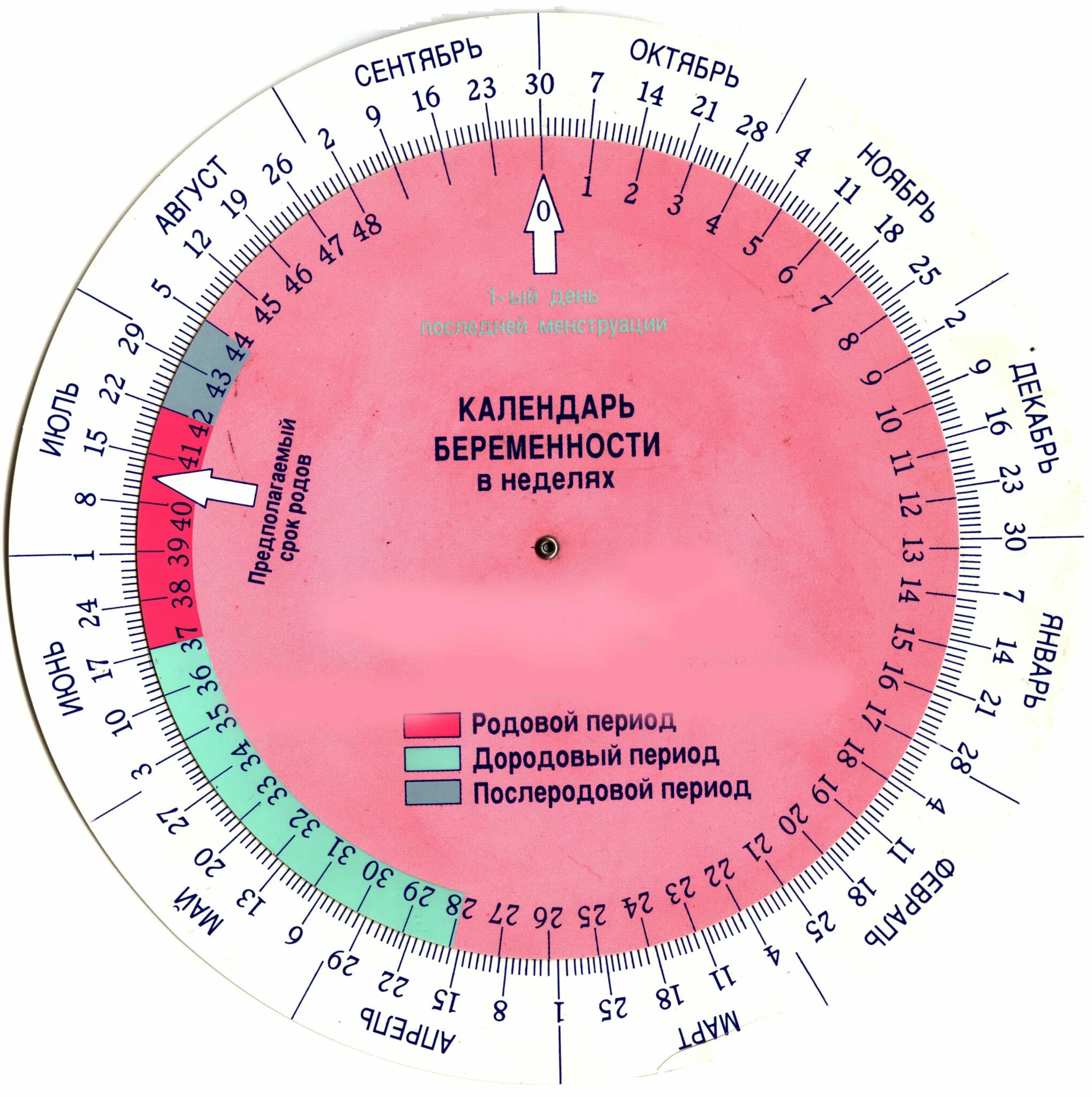 Сколько дней месячные после родов. Рассчитать дату родов по последним месячным по неделям. Беременный календарь. Алендарь береименности. Калькулятор беременности по неделям.