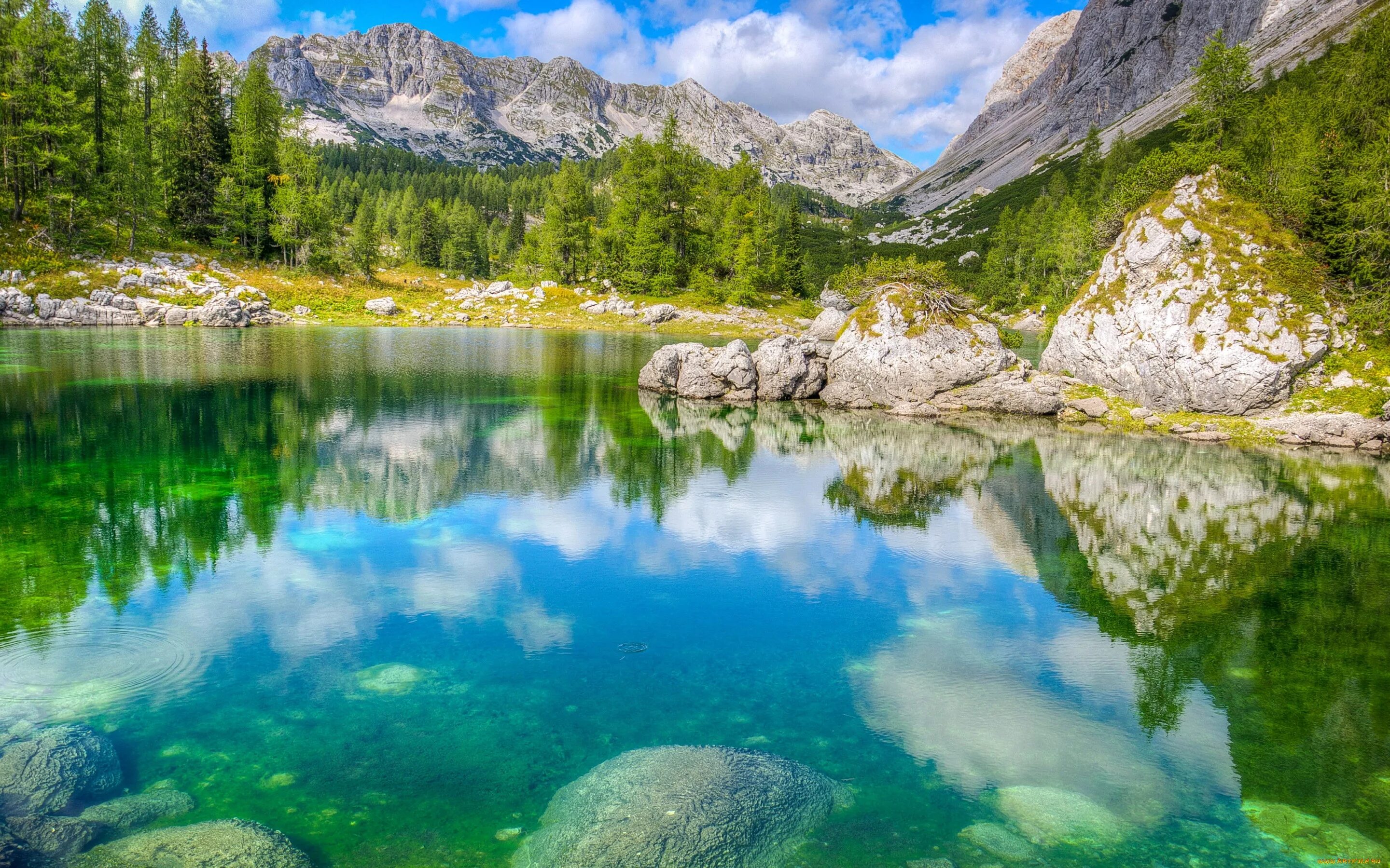 Словения нац парк Триглав. Триглавские озёра Словении. Гора Триглав Словения. Альпийские озера Словения.