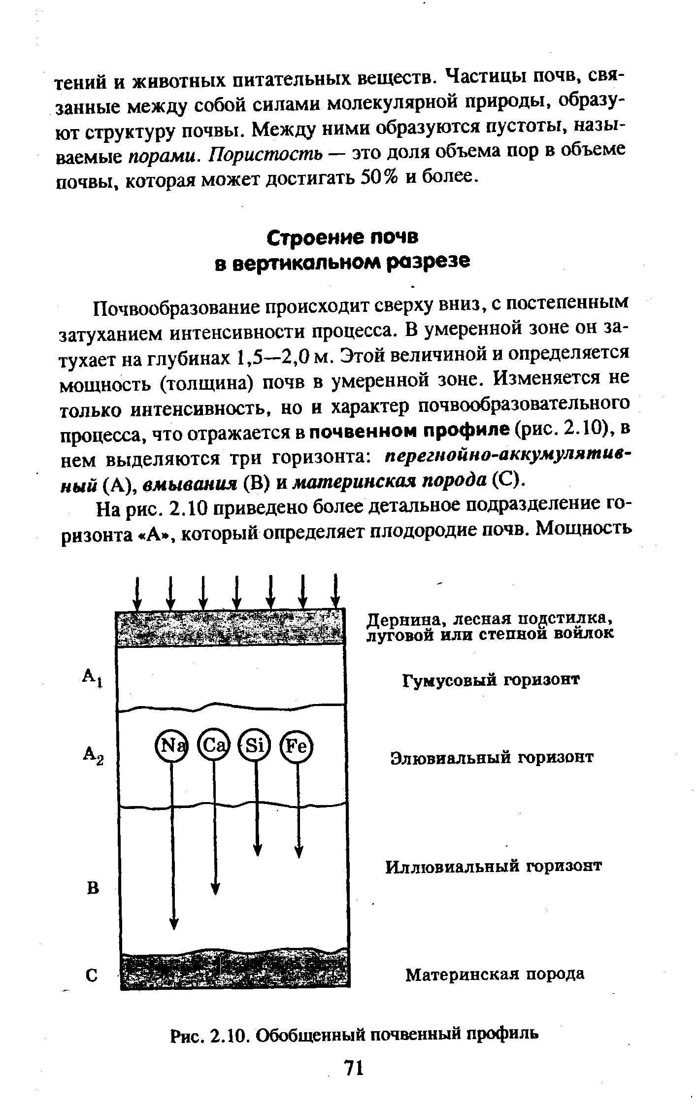Типы строения почвенного профиля. Почвенный профиль. строение почвенного профиля. мощность почвенного профиля. вертикальный разрез дернины.
