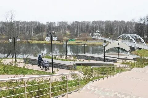 Сестрорецком парке клина