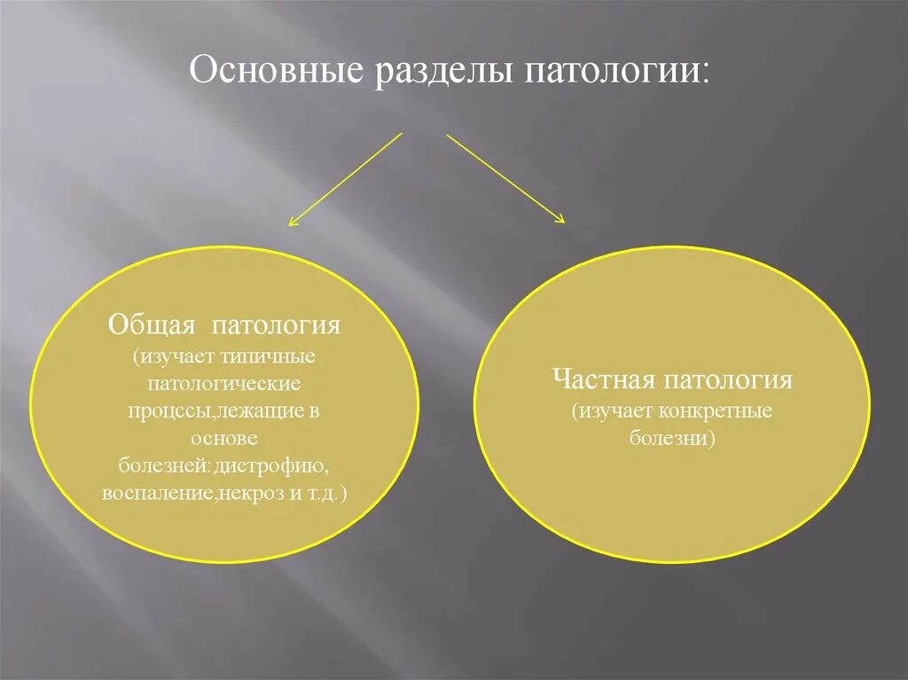 Аномалии науки. Основные разделы патологии. Основные разделы науки патологии. Общая и частная патология. Задачи общей патологии.