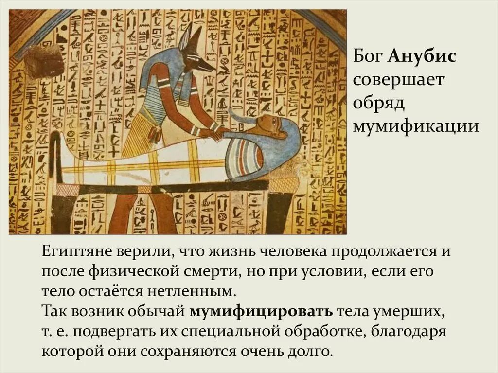 Почему выбрал египет
