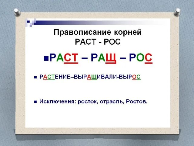 Раст ращ рос. Раст ращ рос правило. Раз рос корни