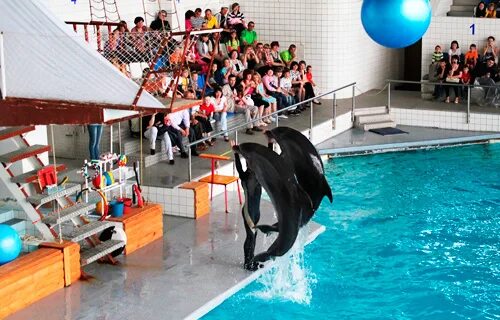 центр развлечений для детей набережные челны. куда можно сходить в челнах развлечься. развлечение на набережной для детей. аттракционы набережные челны. площадь азатлык в набережных челнах на новый год.