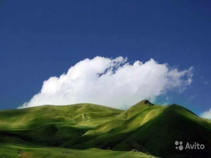 Зеленый холм Пятигорск. Холмы jura. «Зеленые холмы». Холмы фото.