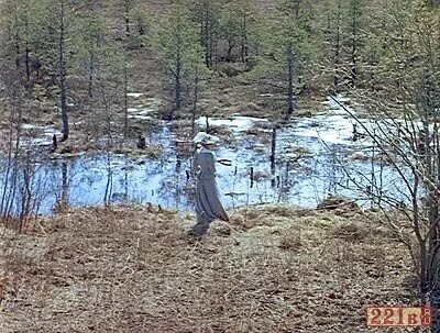 Баскервиль болота