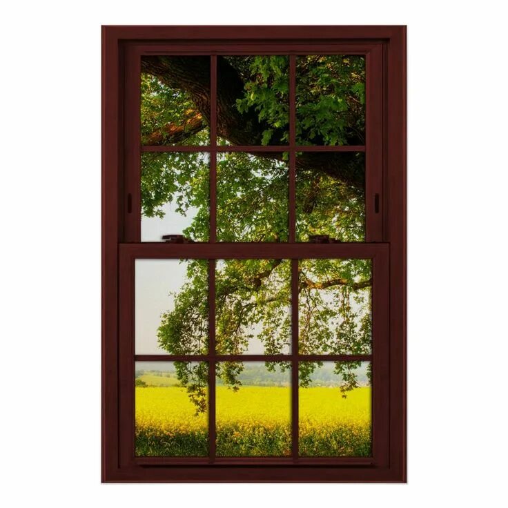 Window poster