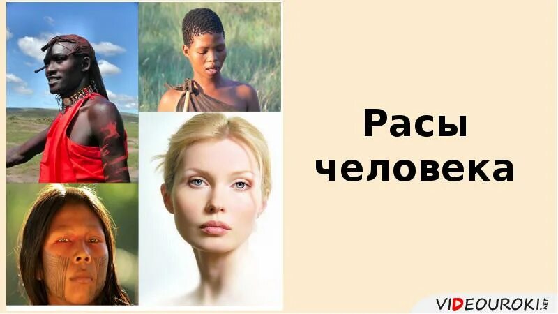 Расы людей. Человеческие расы. Расы человека презентация. 3 Расы человека.