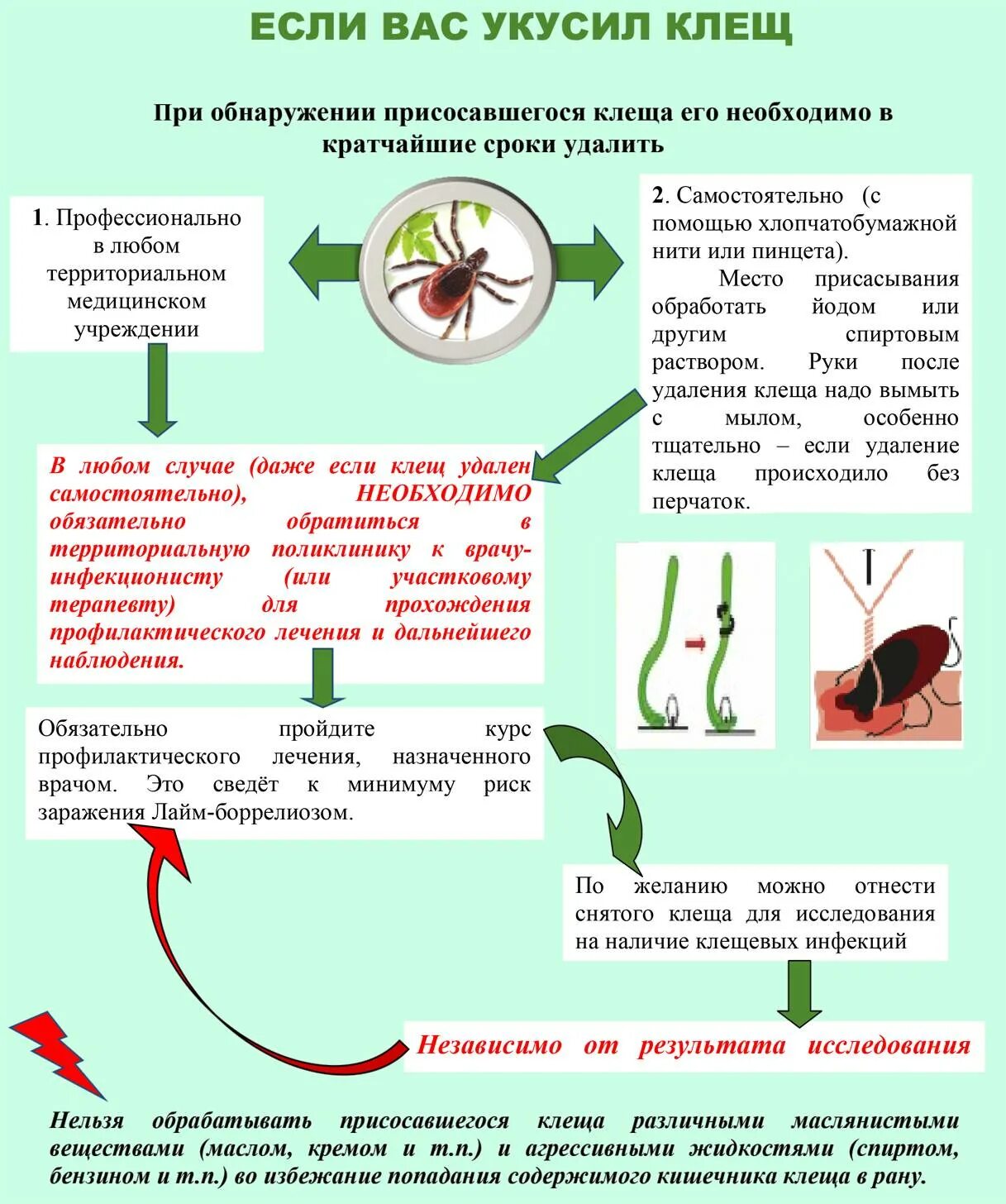 Признаки энцефалита после укуса у человека. Тактика фельдшера при укусе клеща. Памятка оказание первой помощи при укусе клеща. Алгоритм действия при укусе клеща для детей. При обнаружении клеща впившегося в тело необходимо.