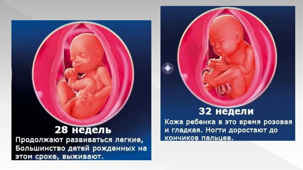 Сколько недель считается доношенная. С какой недели ребенок считается доношенным. С какой недели беременности ребенок считается доношенным. Со скольки недель ребёнок считается доношенным. С какой неделе ребенок полностью доношенный.